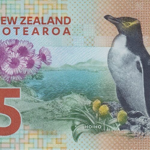 Buy NZD 5 Dollars