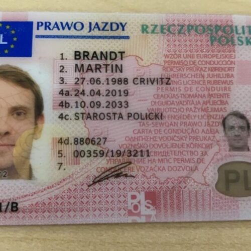 Polish Driver License