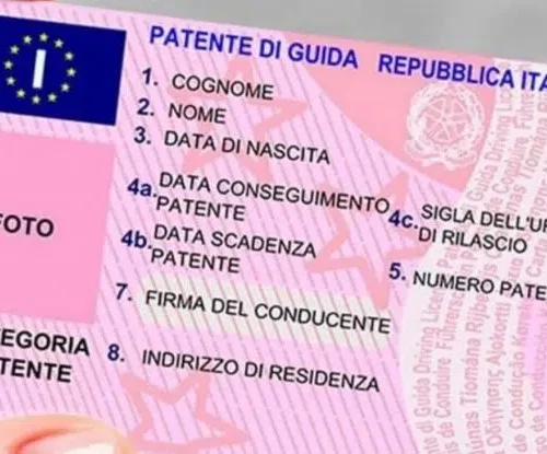 Italian Driver License