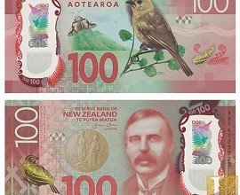 Buy NZD 100 Dollars