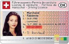 Swiss Driver License